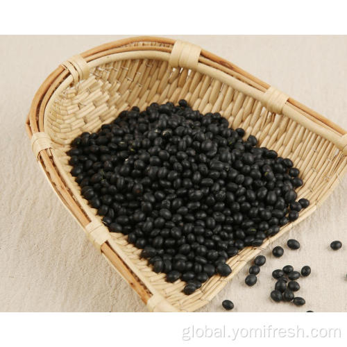 Organic Black Bean Healthy Beans To Lose Weight Manufactory